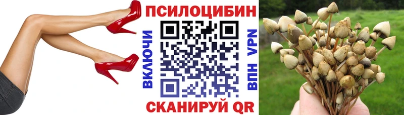 купить наркотики цена  Полевской  Псилоцибиновые грибы GOLDEN TEACHER 